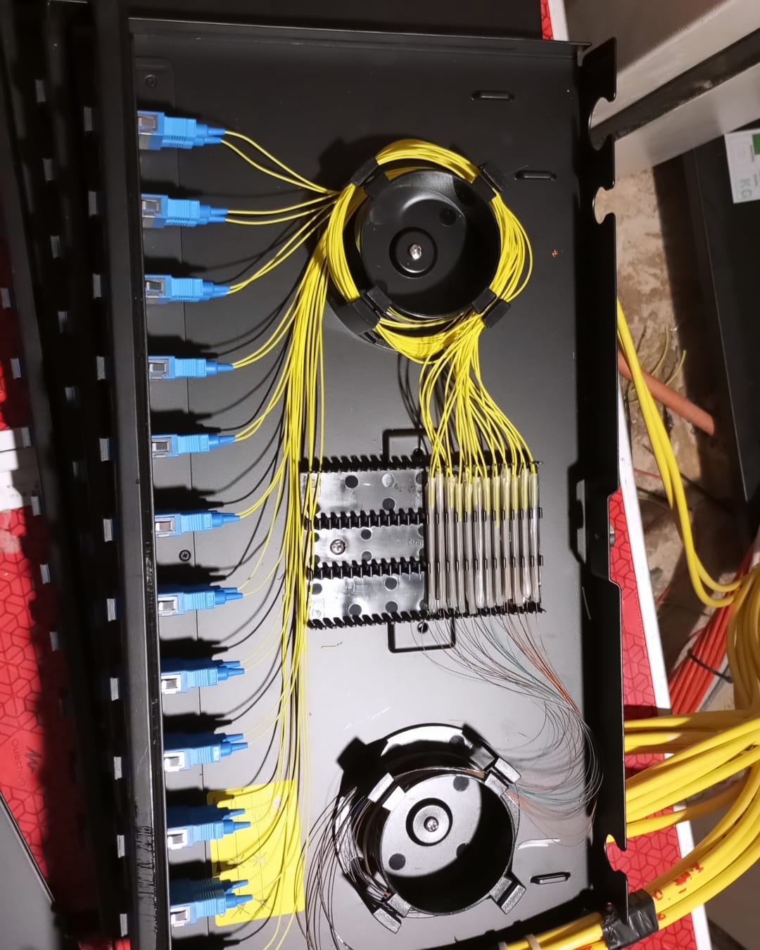 WhatsApp Image 2025 01 28 at 15.51.17